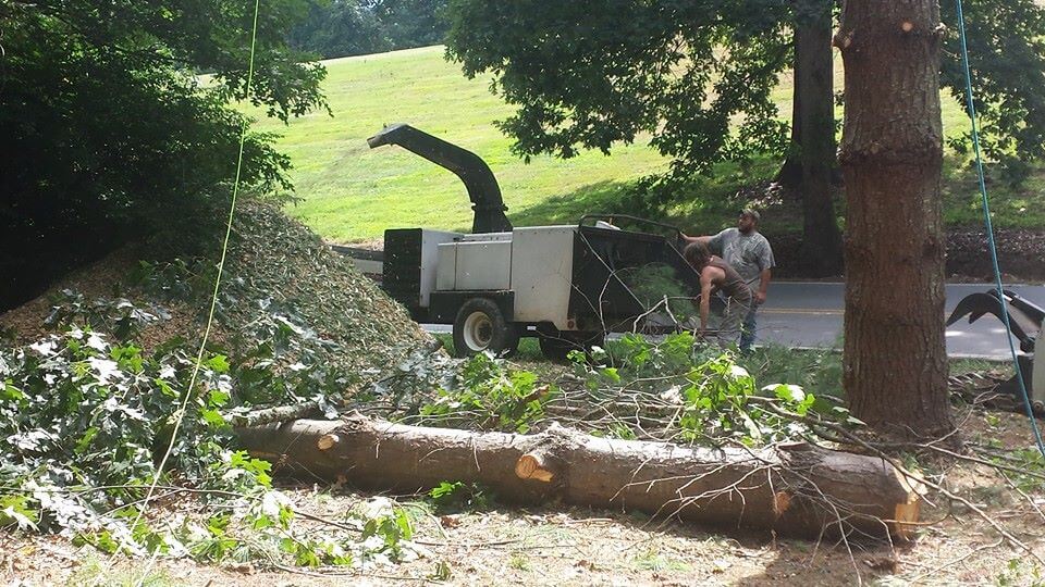 Asheville Wood Chipping Services