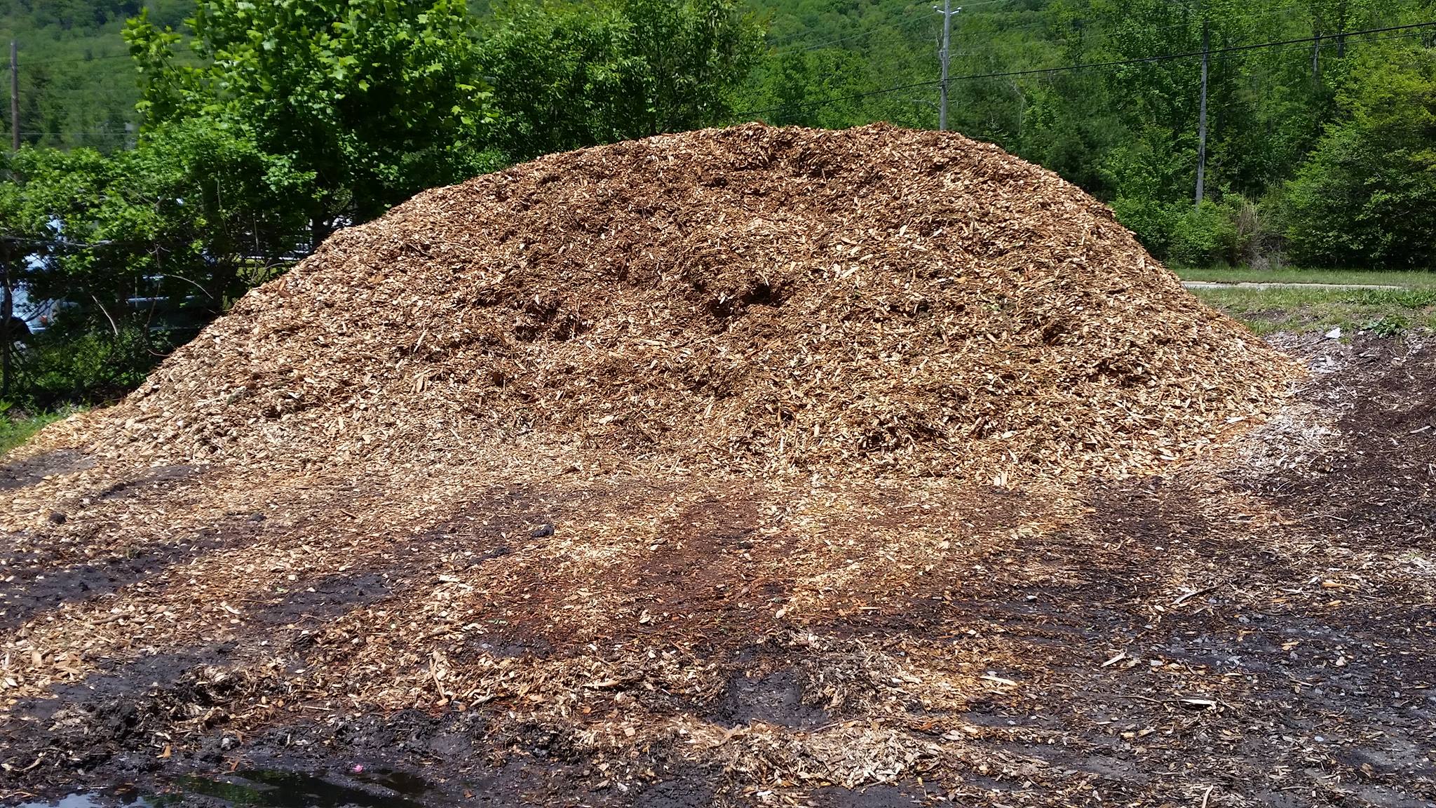 Mulching Services